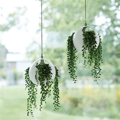 hanging sphere|Buy hanging sphere planter: Delivery by Crocus